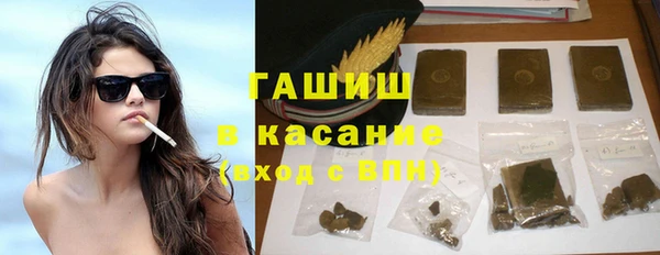 мдпв Бородино
