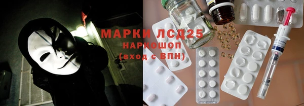 мдпв Бородино