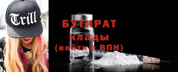 мдпв Бородино