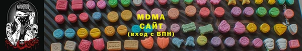 мдпв Бородино