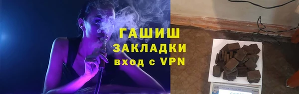 мдпв Бородино